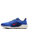 Nike Men's Pegasus 41