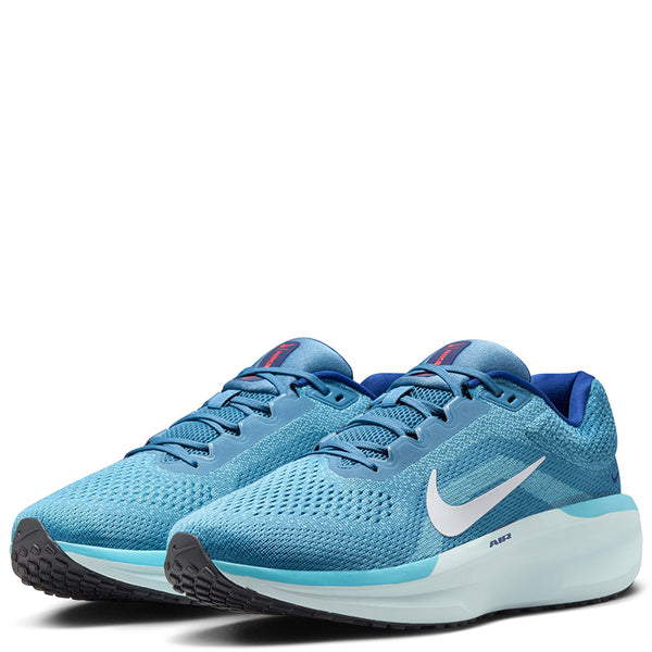 Nike Men's Winflo 11